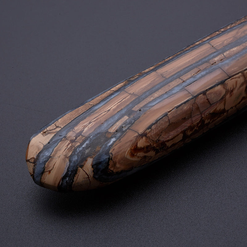 マンモスの歯の化石_2214B