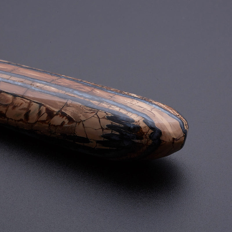 マンモスの歯の化石_2214B