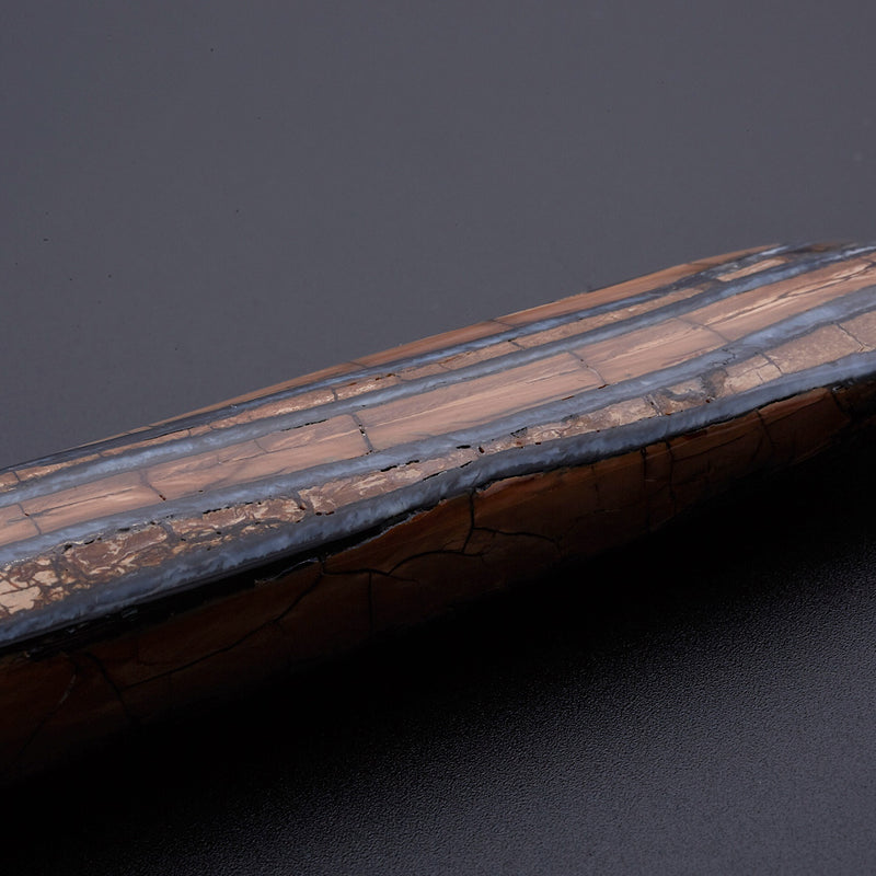 マンモスの歯の化石_2214B