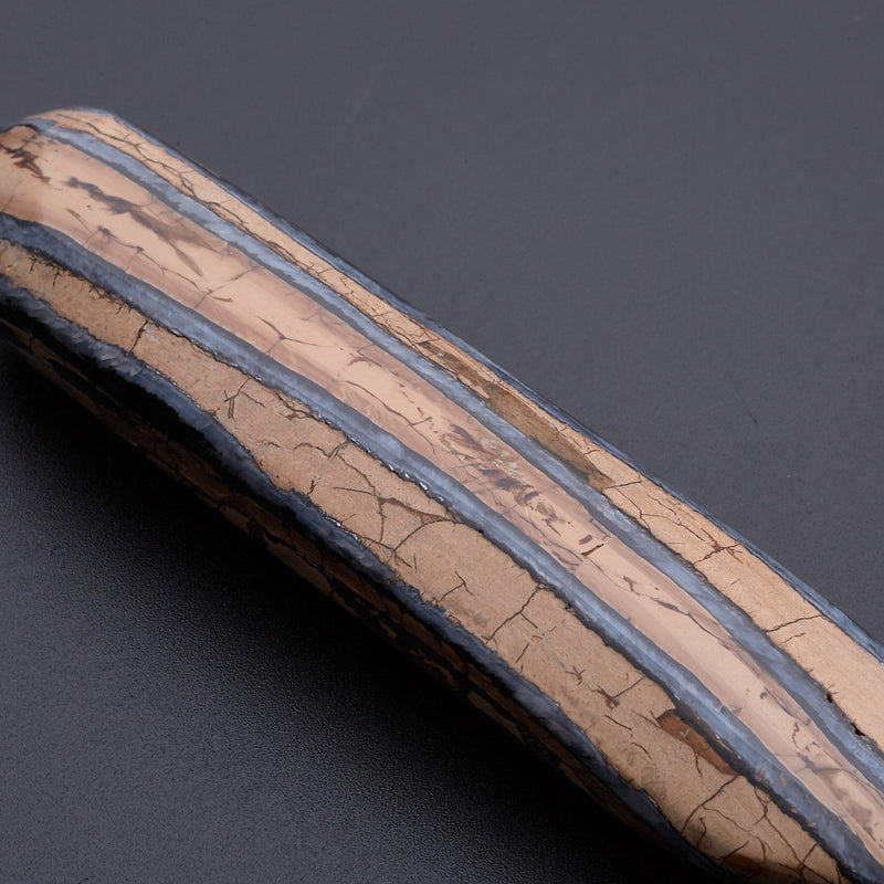 マンモスの歯の化石_2214B