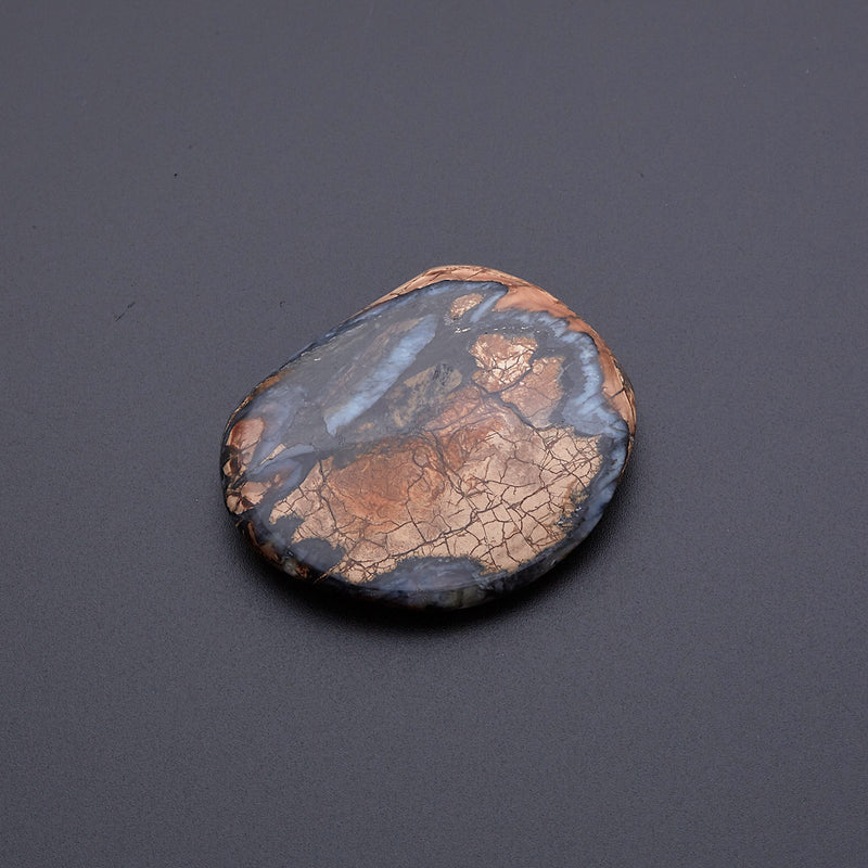 マンモスの歯の化石_2215A