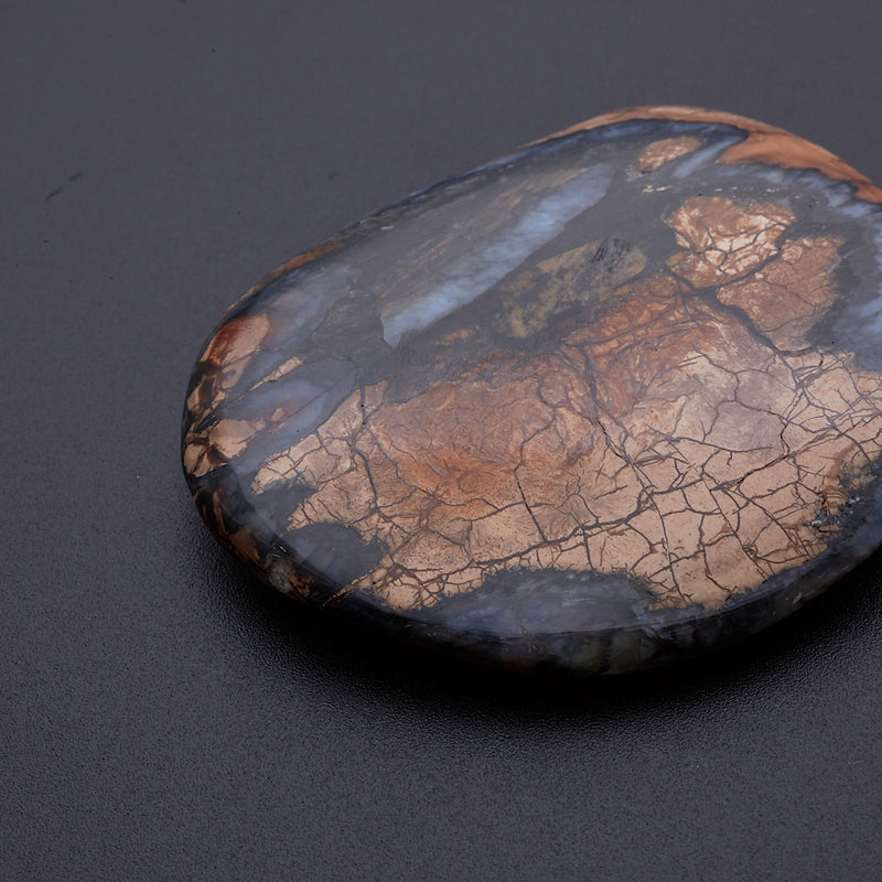 マンモスの歯の化石_2215A