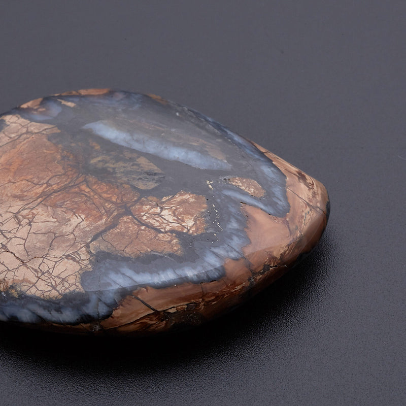 マンモスの歯の化石_2215A