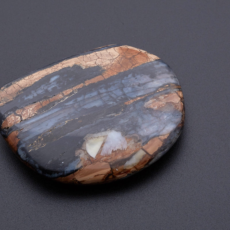 マンモスの歯の化石_2215A