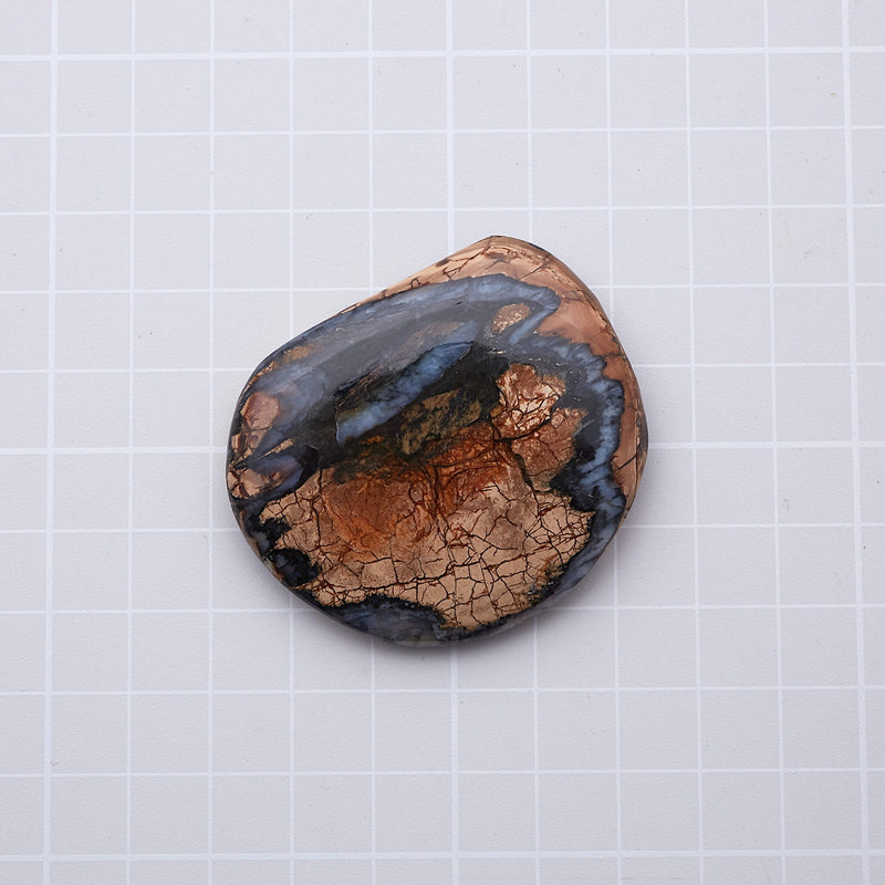 マンモスの歯の化石_2215A