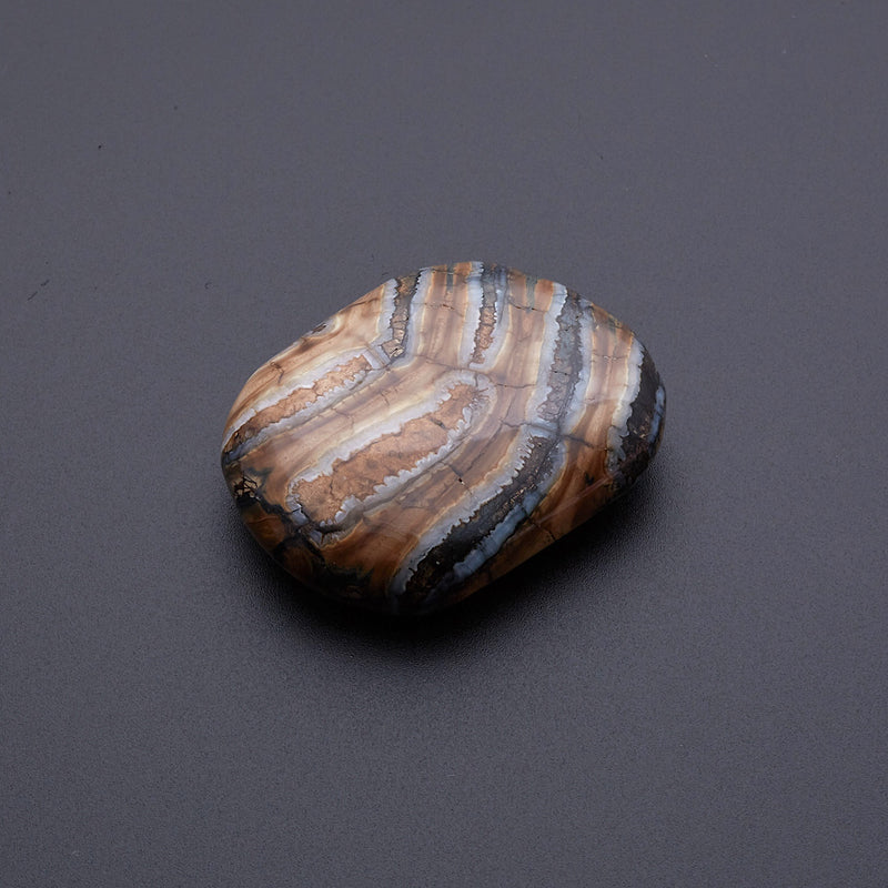 マンモスの歯の化石_2215B