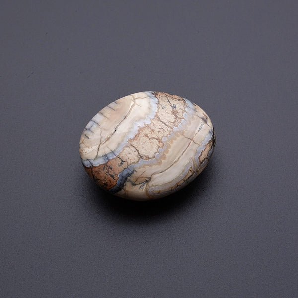 マンモスの歯の化石_2215C