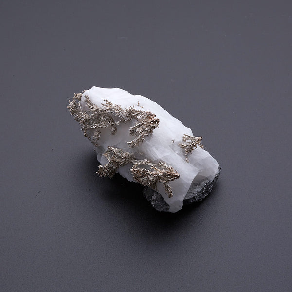 ネイティブシルバー_2217