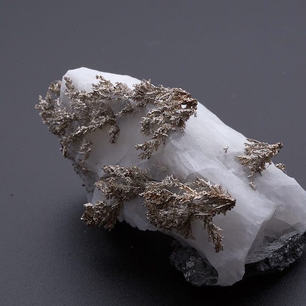 ネイティブシルバー_2217