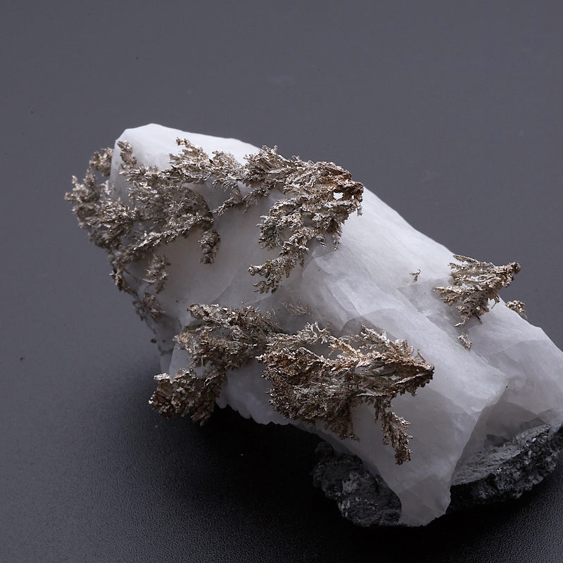 ネイティブシルバー_2217