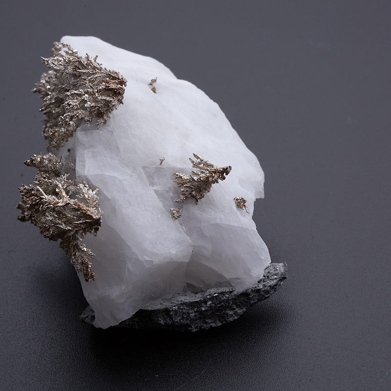 ネイティブシルバー_2217