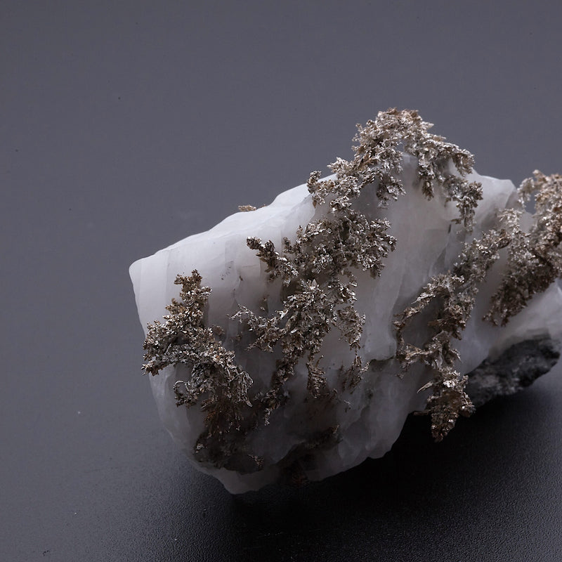 ネイティブシルバー_2217