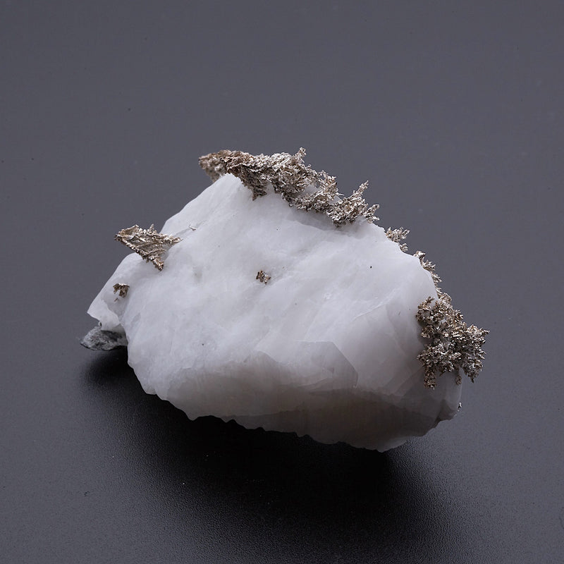 ネイティブシルバー_2217