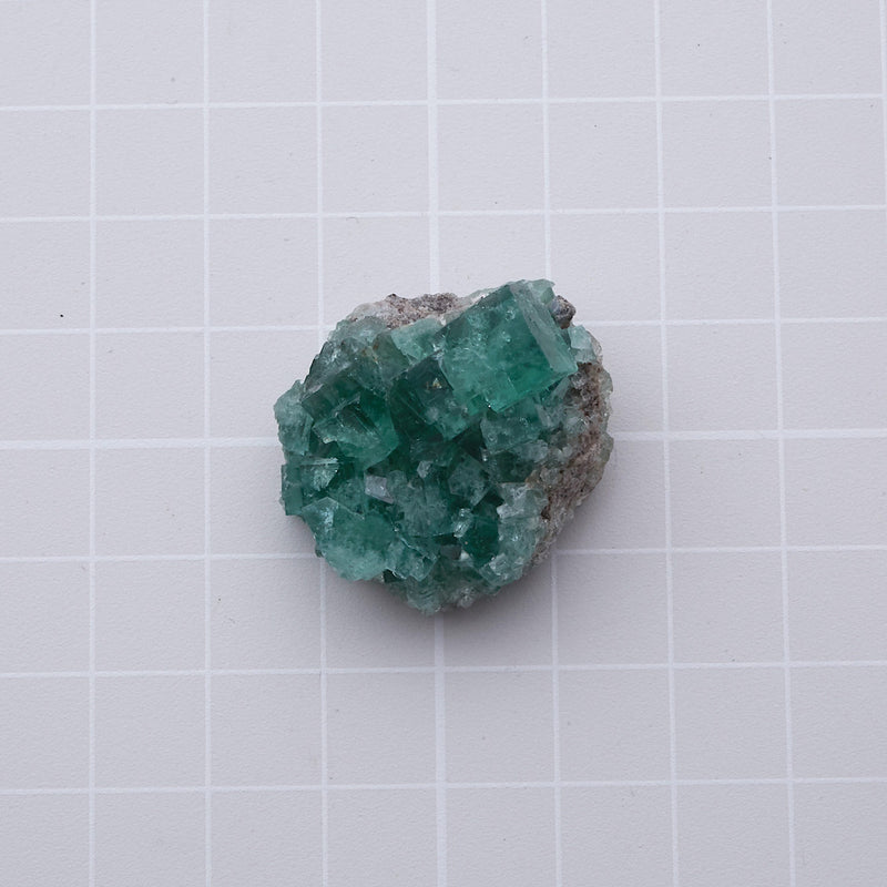 フローライト_2222