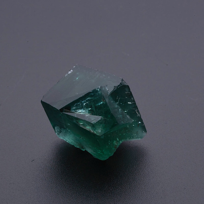 フローライト_2223