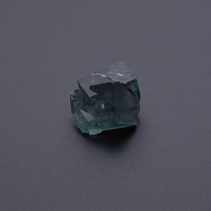 フローライト_2224