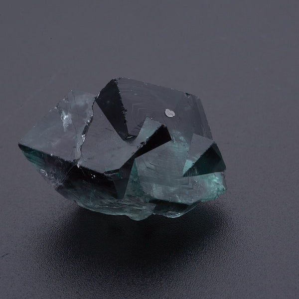 フローライト_2224