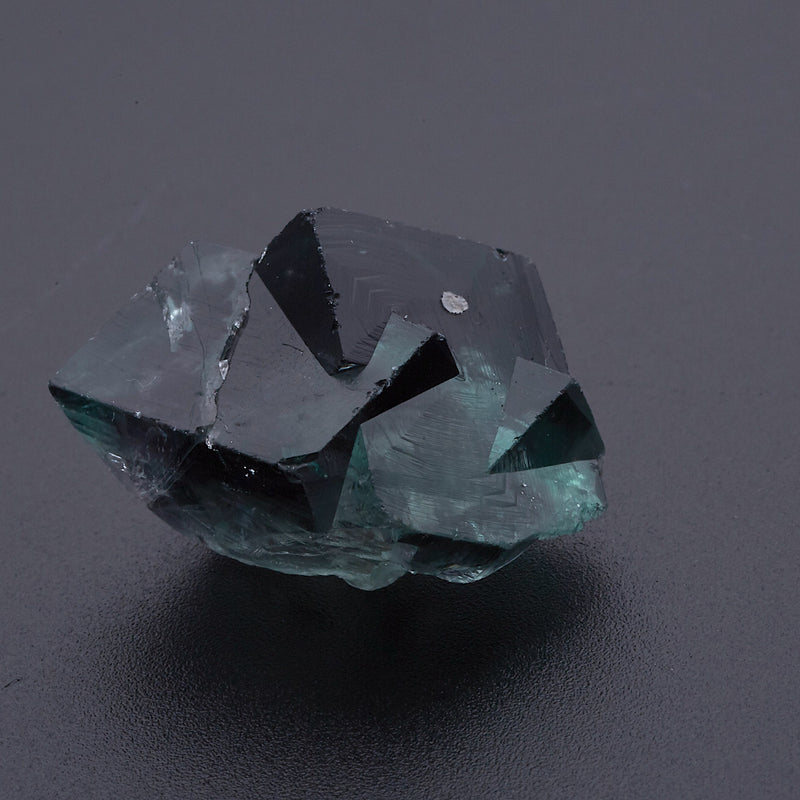 フローライト_2224