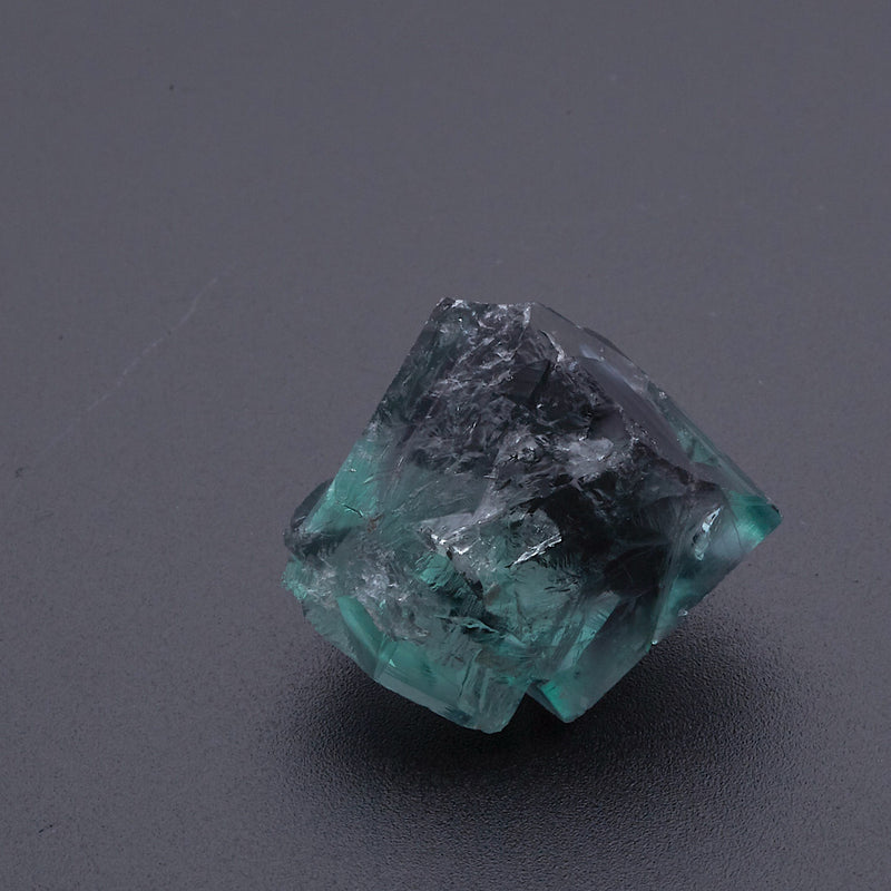 フローライト_2224