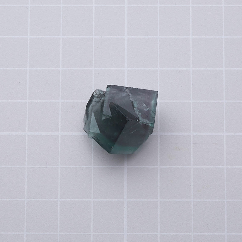 フローライト_2224