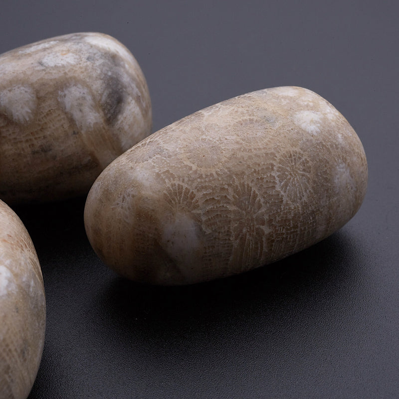 ペトスキーストーン_2254