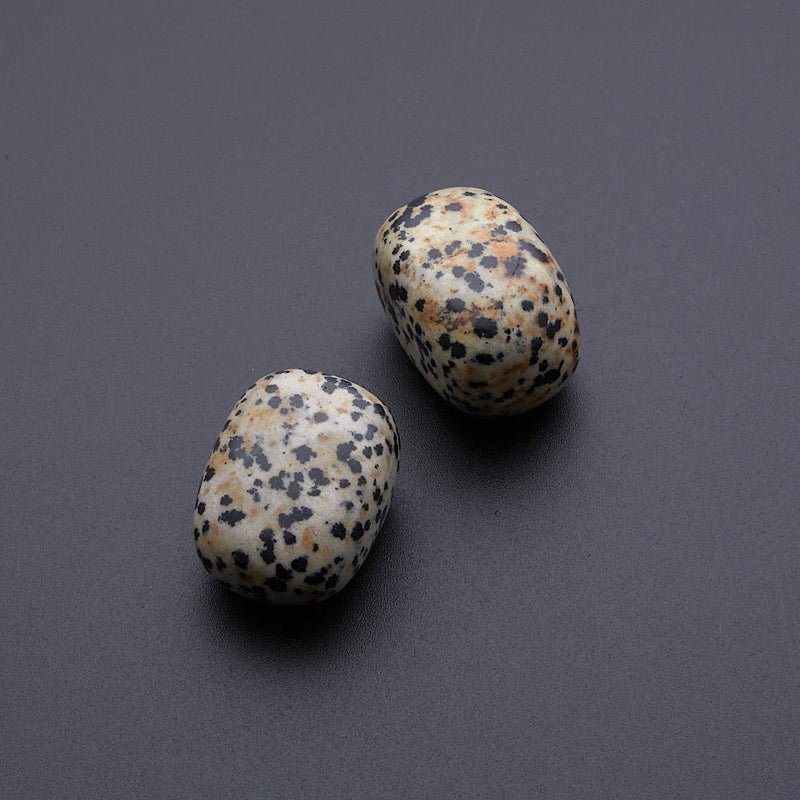 ダルメシアンジャスパー_2255