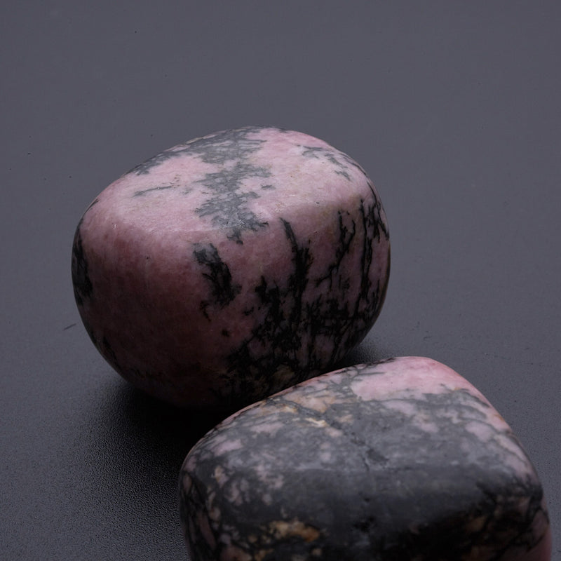 ロードナイト_2258