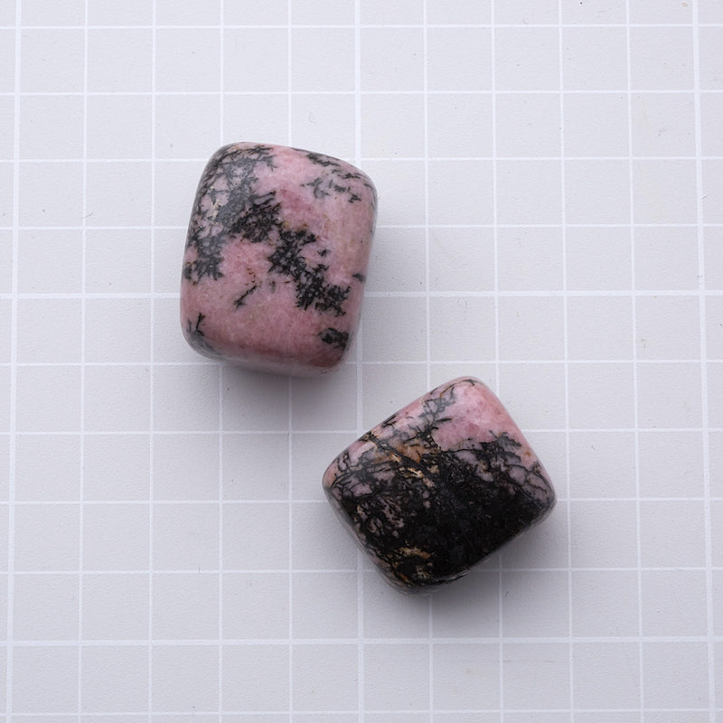 ロードナイト_2258