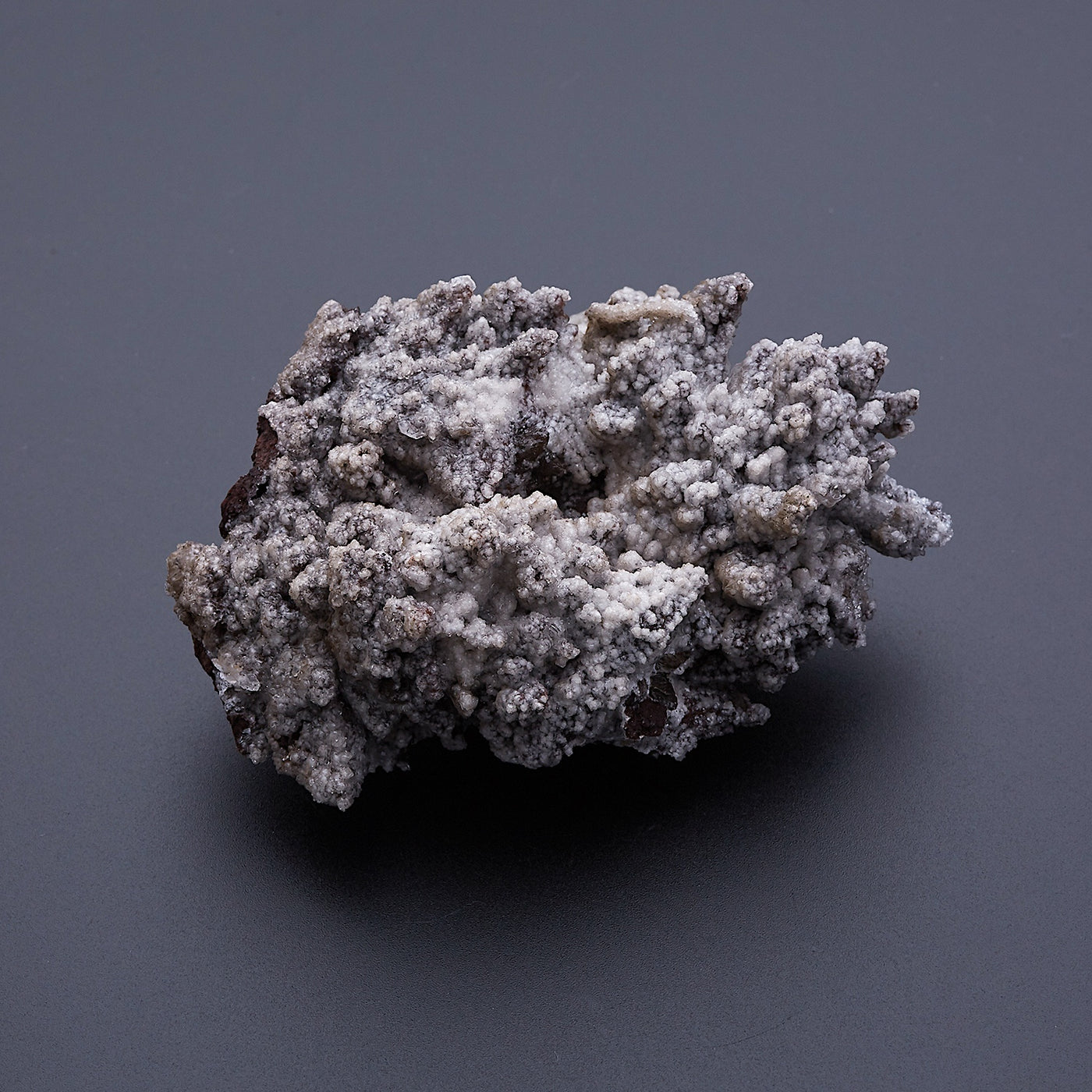 限定1‼️持ち主を強く選ぶ石 生命の樹‼️セレナイト セレナイト_2139 – URAOTO-to