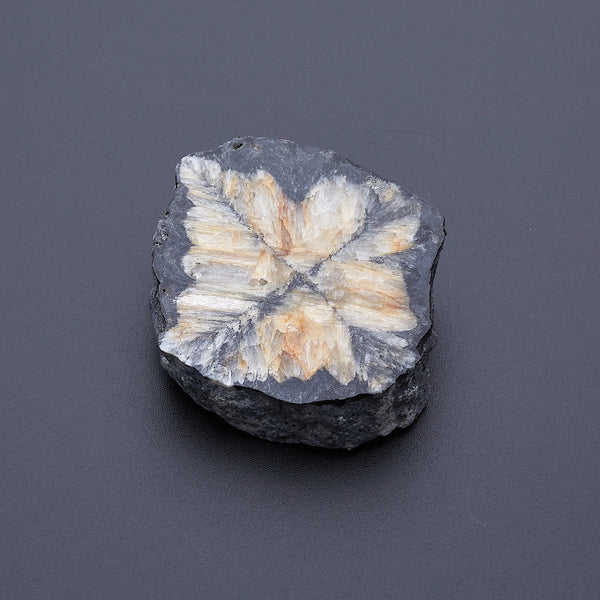 キアストロライト_2171A