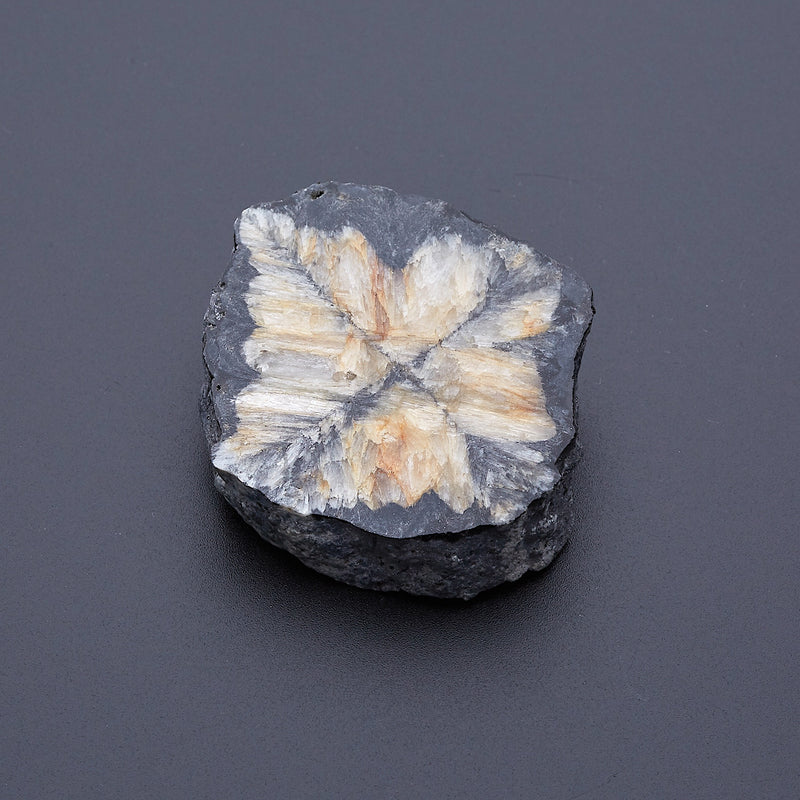 キアストロライト_2171A