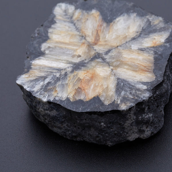 キアストロライト_2171A