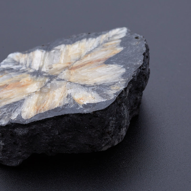 キアストロライト_2171A