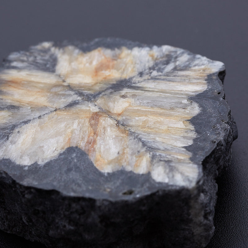 キアストロライト_2171A