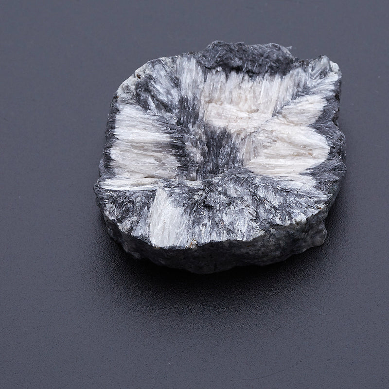 キアストロライト_2171A