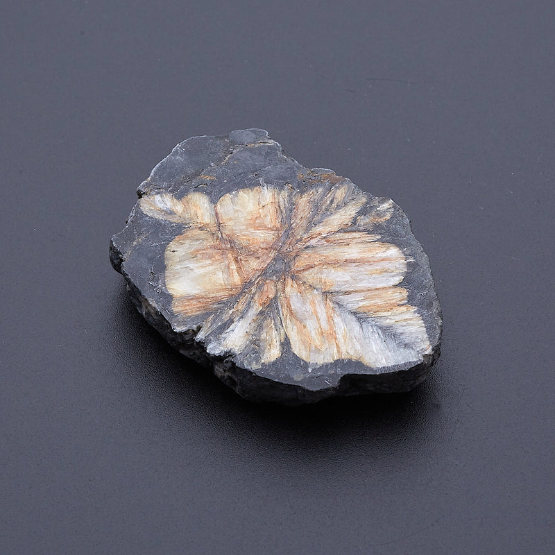 キアストロライト_2171B