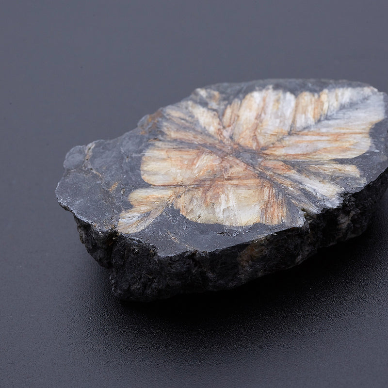 キアストロライト_2171B