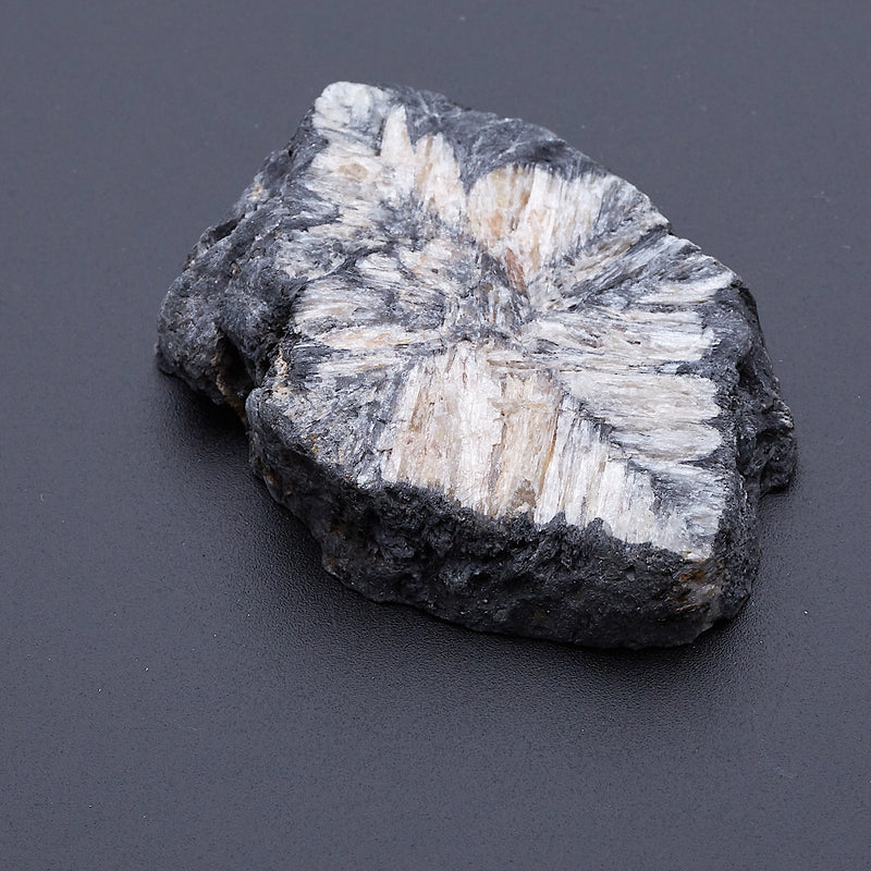 キアストロライト_2171B