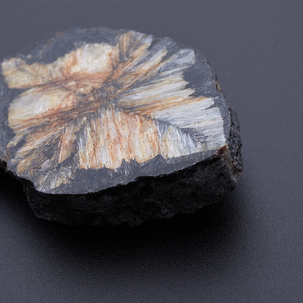 キアストロライト_2171C