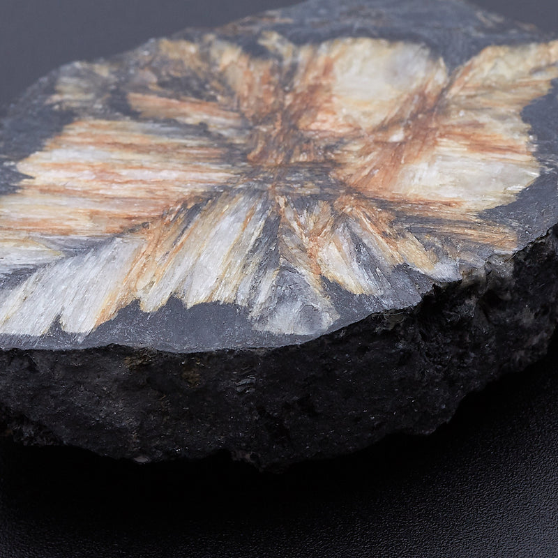 キアストロライト_2171C