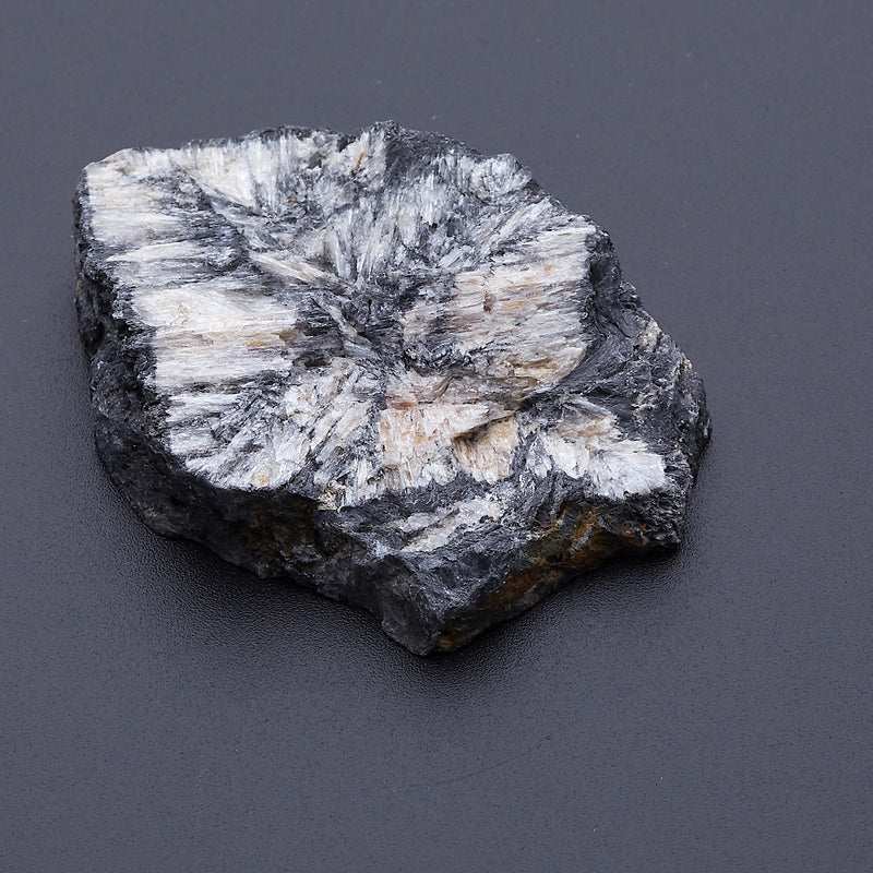 キアストロライト_2171C