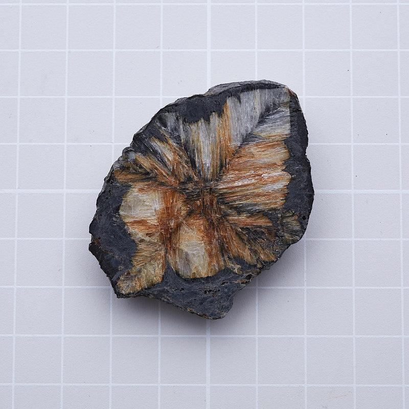 キアストロライト_2171C