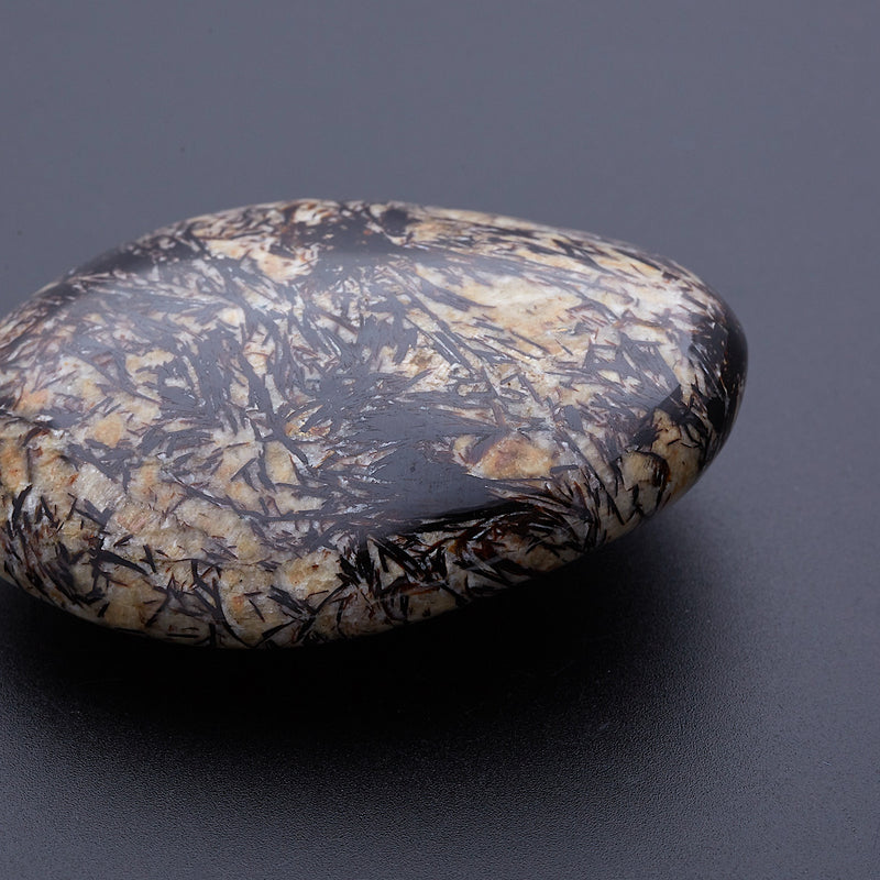 アストロフィライト_2173A