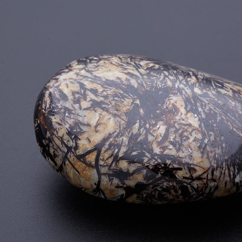 アストロフィライト_2173A