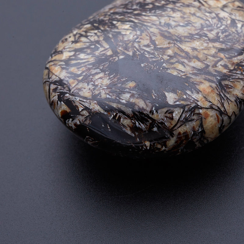 アストロフィライト_2173A