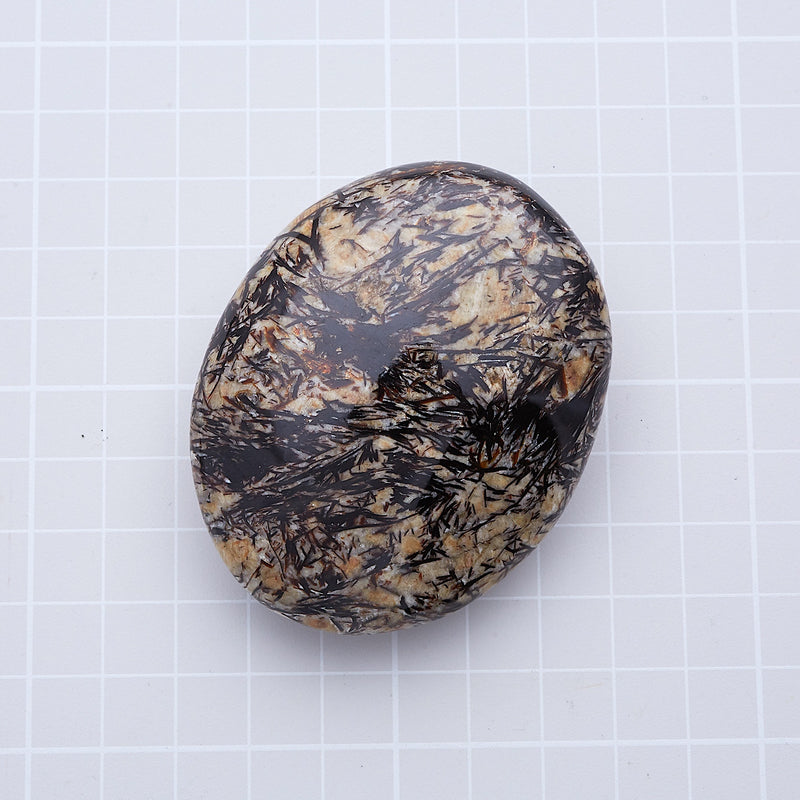 アストロフィライト_2173A