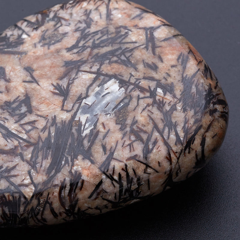 アストロフィライト_2173B