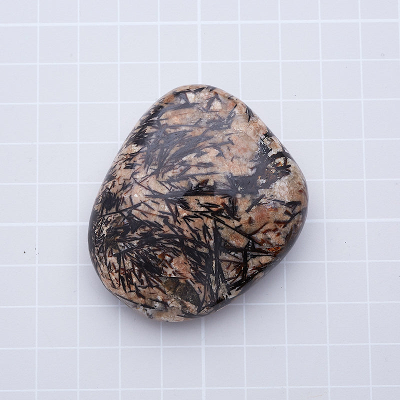 アストロフィライト_2173B