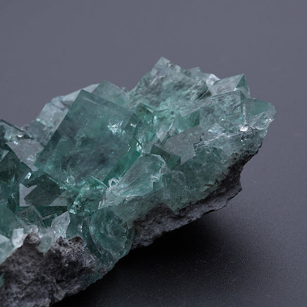 フローライト_2196A