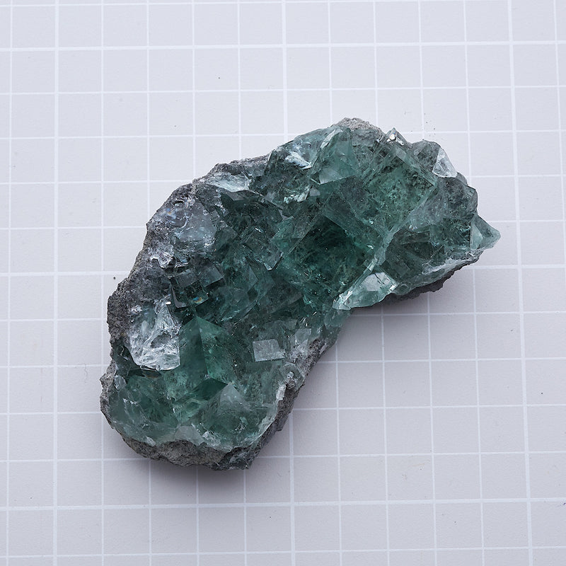 フローライト_2196A